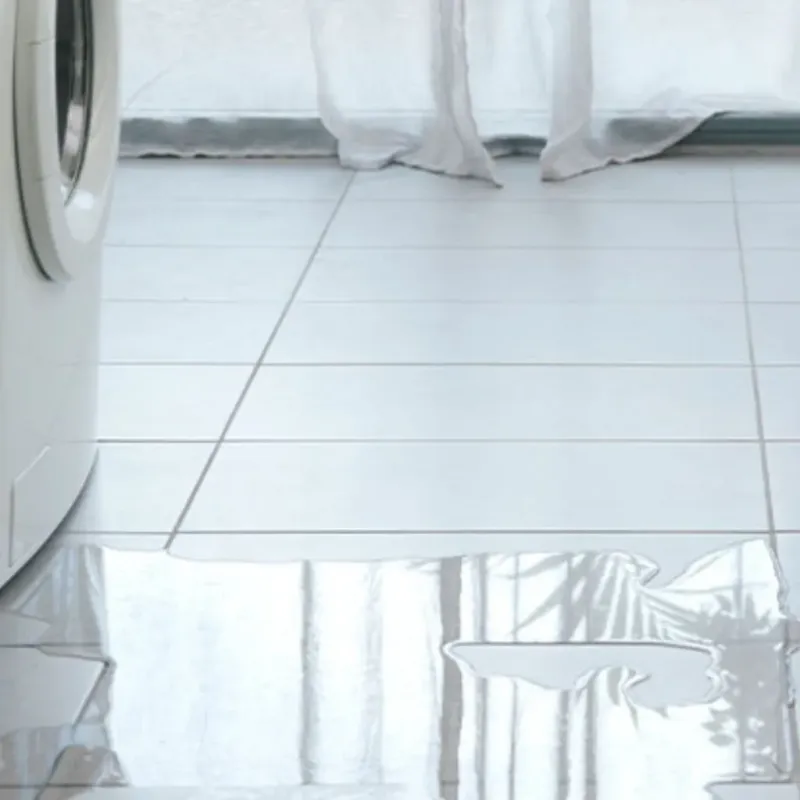 Appliance Leak Cleanup in Kingston, TN