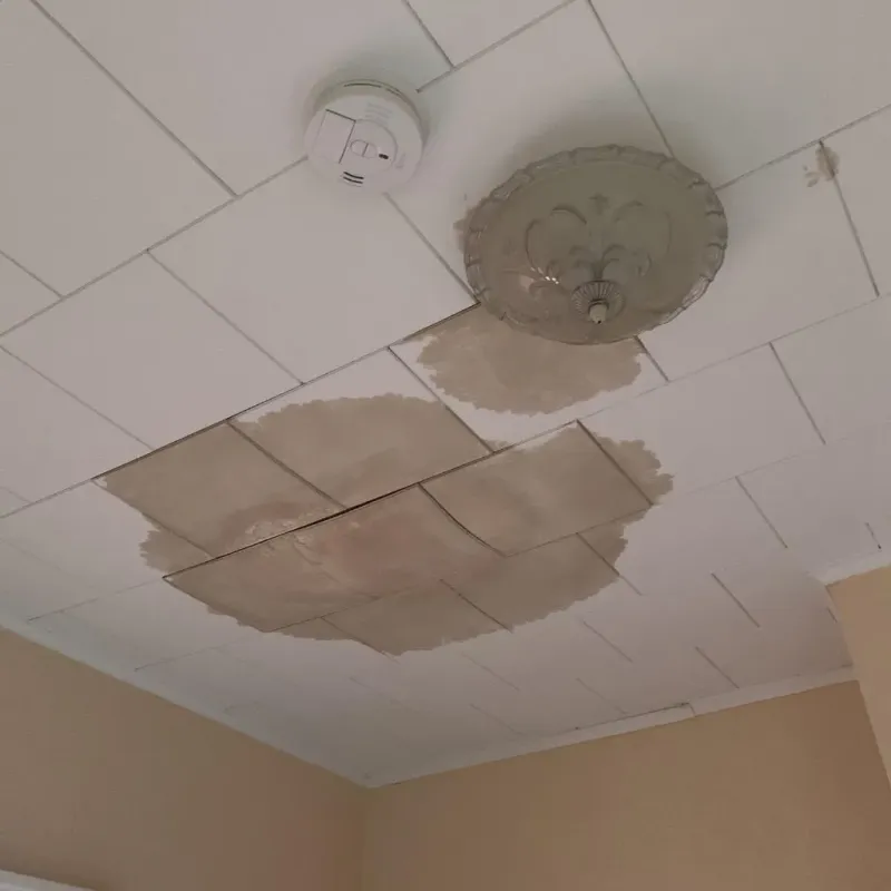Ceiling Water Damage Repair in Kingston, TN