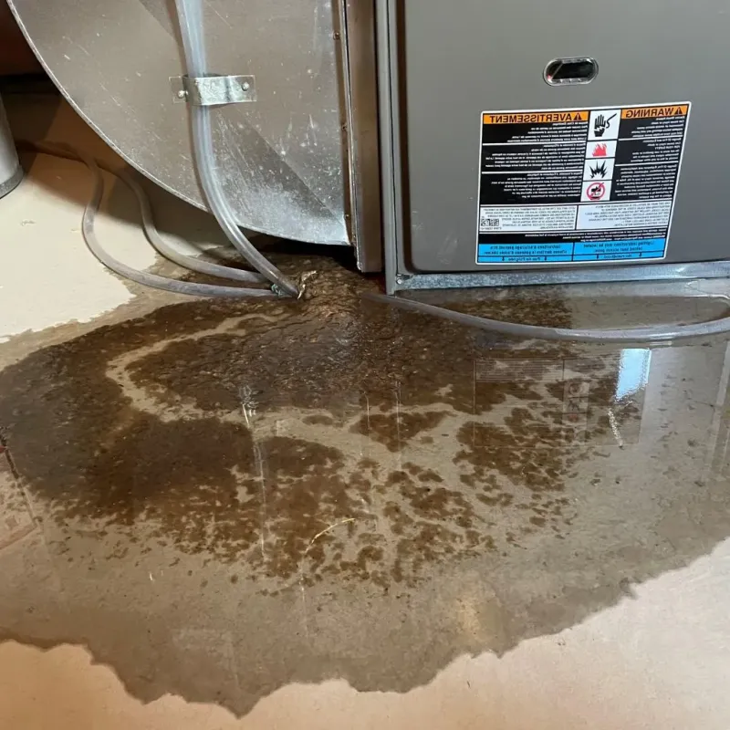 Pipe Burst and Leak Restoration in Kingston, TN