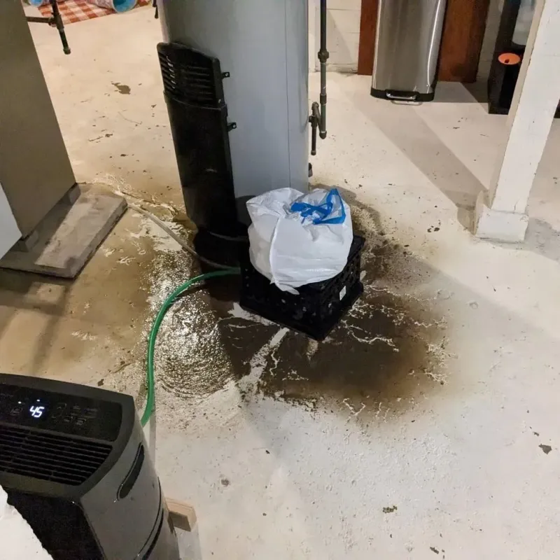 Sewage Backup Cleanup Service in Kingston, TN